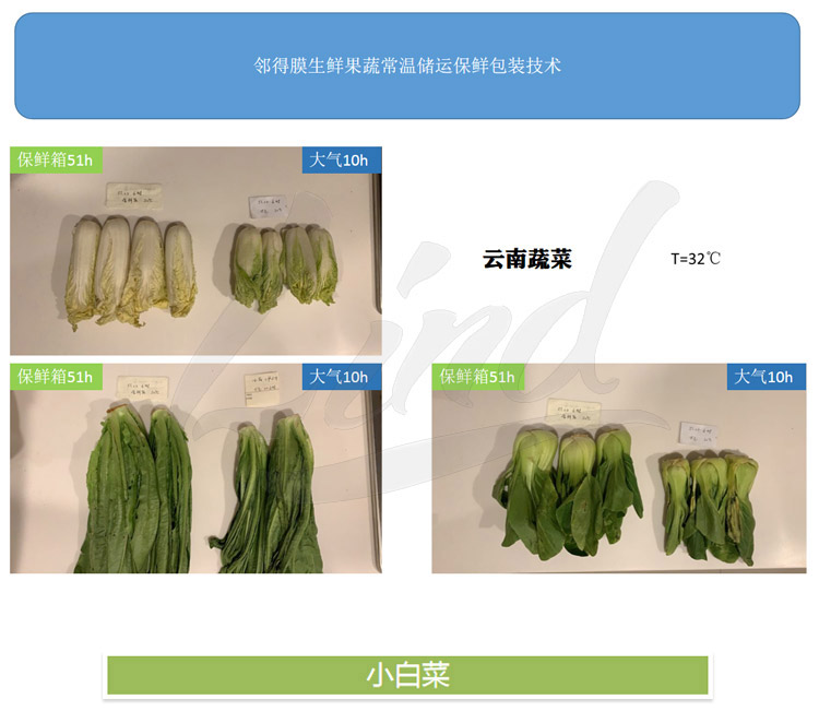 1639039253444381.jpg 鄰得膜生鮮果蔬自發(fā)氣調(diào)保鮮包裝技術(shù)詳情換成這個_01.jpg