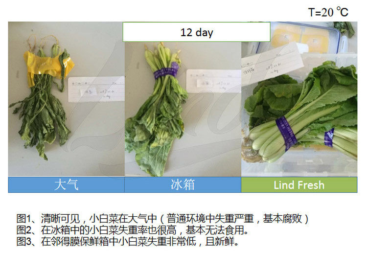 1639039268323595.jpg 鄰得膜生鮮果蔬自發(fā)氣調(diào)保鮮包裝技術(shù)詳情換成這個_02.jpg