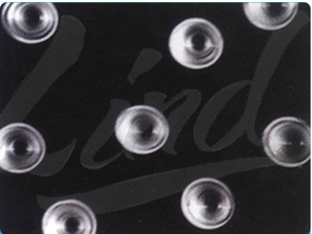 “核孔膜” 能遮風擋雨又能透氣的防霧霾產品